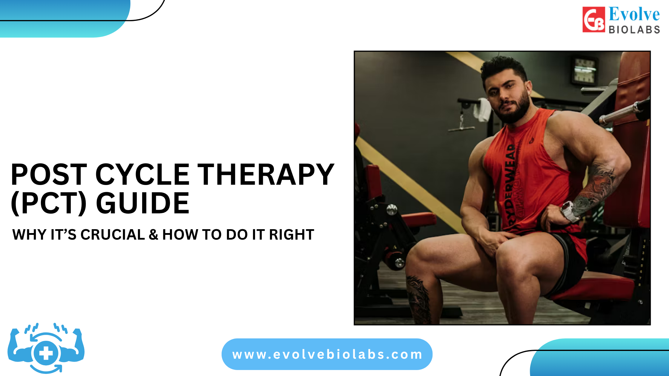 Post Cycle Therapy (PCT) Guide 