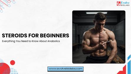 Steroids for Beginners: Everything You Need to Know About Anabolics, How Do Anabolic Steroids Work? 